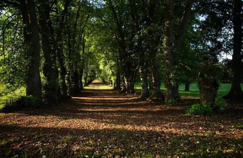 Bouillancourt-en-Sery Bed & Breakfast | Château de Bouillancourt en Sery