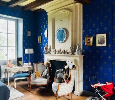 Allonnes Bed & Breakfast | Château de la Thibaudière Bois Savary - Chambre familiale du Roi