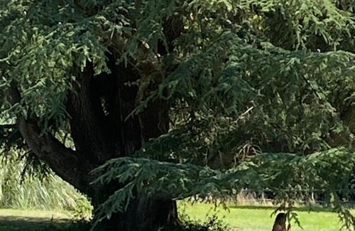 Tierce Bed & Breakfast | Château La Bainerie