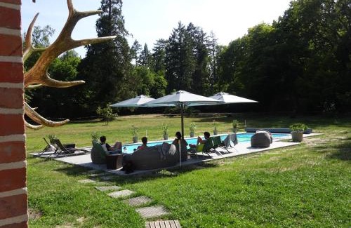 Villeny Bed & Breakfast | Château Les Villiers - Au cœur de la Sologne
