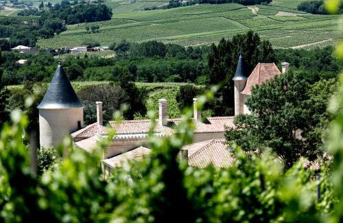 Saint-Andre-du-Bois Bed & Breakfast | Château Toulouse-Lautrec