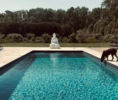 Pruniers-en-Sologne Villa | Château Wellness Exclusif - Yoga et Événements Luxe, Loire Valley