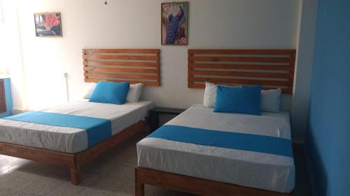 Carolina Hotel | CH Chinelos Desayuno Gratis