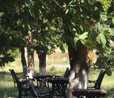 Azerbaijan Hotel | Chabiant Guesthouse Chateau Monolit