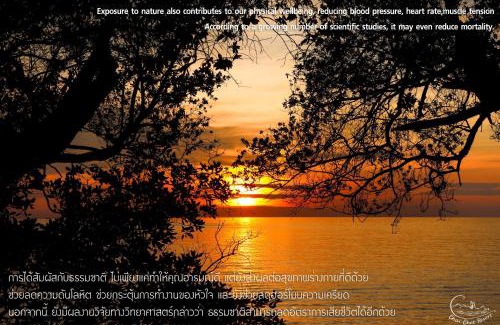 Ko Chang Hotel | Chai Chet Resort Koh Chang