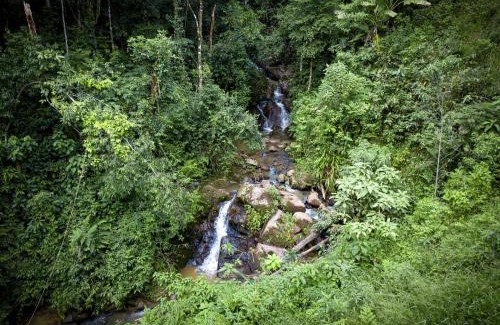 Corrego do Bom Jesus House | Chalé Cabana com 3 cachoeiras - Mirante para montanhas, Espaço Gourmet Caipira