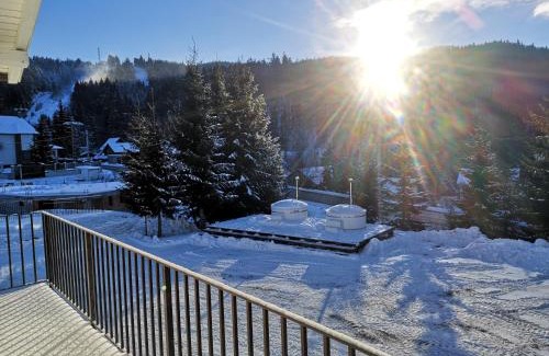 Cavnic Apartment | Chalet 2B