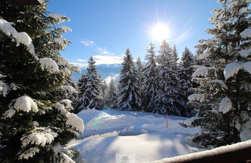 Anzere Ski Chalet | Chalet (6 pers.) with 3 bedrooms, each with 2 single beds. Living room, dining room with TV, firepla
