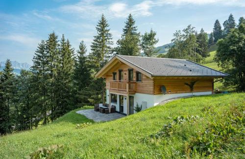 Kirchberg in Tirol House | Chalet Alpenherz