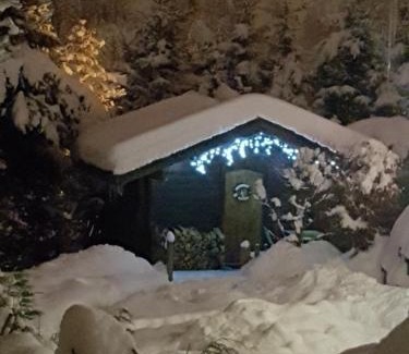 Chamonix City Centre Ski Chalet | Chalet Alpine Rose