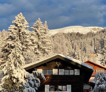 Randogne Ski Chalet | Chalet atypique Colorado Crans-Montana