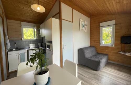 Pierrefitte-sur-Loire House | Chalet au bord de l'eau, terrasse privée, pêche, baignade, nature et détente, animaux acceptés - FR-1-489-359