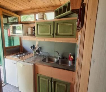 Bagnols-en-Foret Ski Chalet | Chalet avec piscine privée dans la forêt
