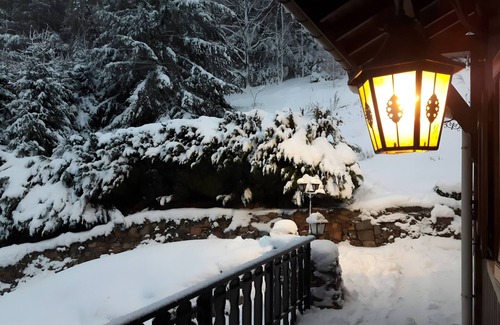 Basse-sur-le-Rupt Ski Chalet | Chalet 'Bellevue Vue Exceptionnelle' with Mountain View, Terrace and Garden