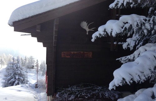 Riederalp Ski Chalet | Chalet Bergpieper, quaint apartment in Swiss chalet style, with a dream view