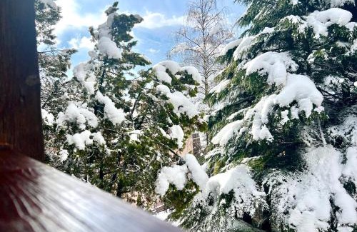 Bormio Ski Chalet | Chalet Bormio Terme