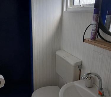 Anloo Ski Chalet | Chalet Bosgeluk - close to the woods