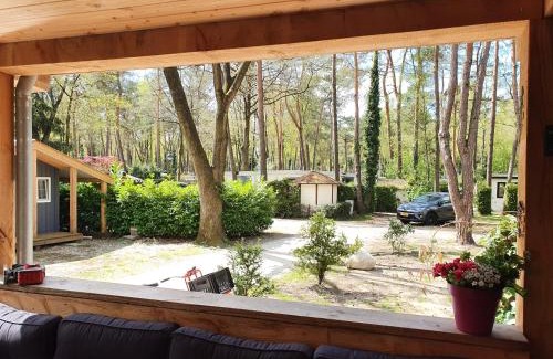 Bosgebied Hoenderloo Other | Chalet bosrijk Midden in de natuur-eten&drinken-activiteiten-ontspanning-en nog veel meer