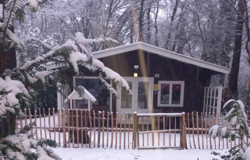 Lanaken Other | chalet bosrust nr 38