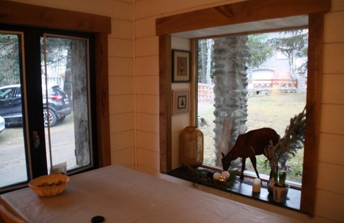 Superbolquere Ski Chalet | Chalet bottom in a quiet place near the slopes Pyrennees 2000