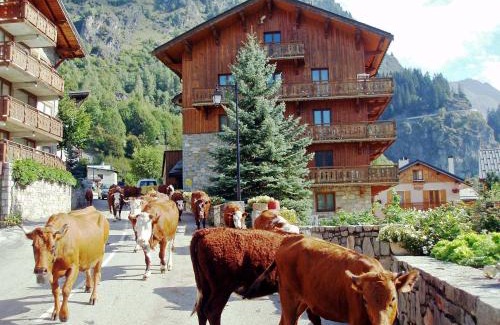 Champagny-en-Vanoise Apartment | Chalet Bouquetin- Martre