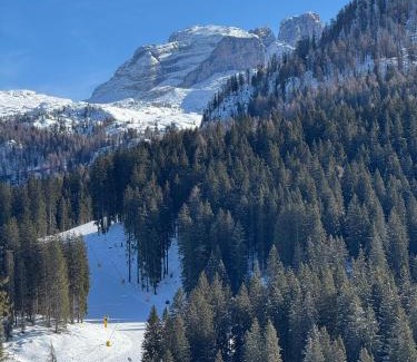 Campo Carlo Magno Apartment | Chalet Campiglio Mountain View - Guardabassi Collection