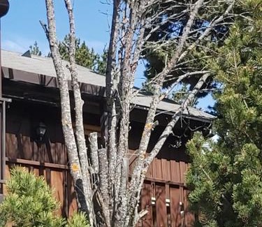 Pyrenees 2000 Ski Chalet | chalet de l ours