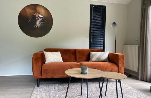 Diever Ski Chalet | Chalet de Vinck in Diever