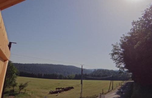 Girmont-Val-d'Ajol House | Chalet des 4 Vents: Nature et Activités Vosges - FR-1-589-815