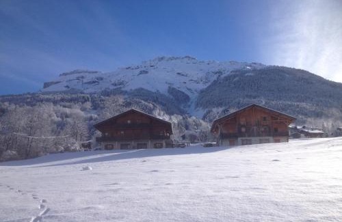 Sixt-Fer-a-Cheval Apartment | Chalet des Cascades