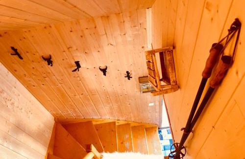 La Joue du Loup Ski Chalet | CHALET DES PAZ