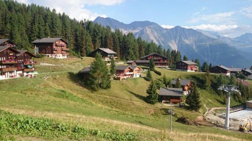 Riederalp Apartment | Chalet Enzian