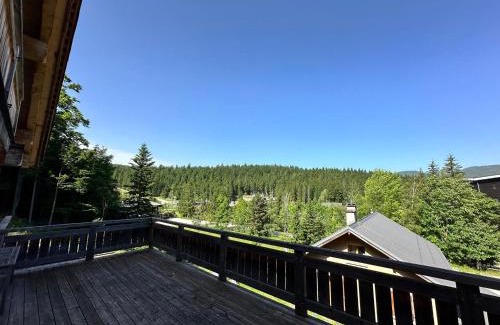 Correncon-en-Vercors Ski Chalet | Chalet familial 10 pers, sauna, terrasse – Corrençon en Vercors - FR-1-515-215