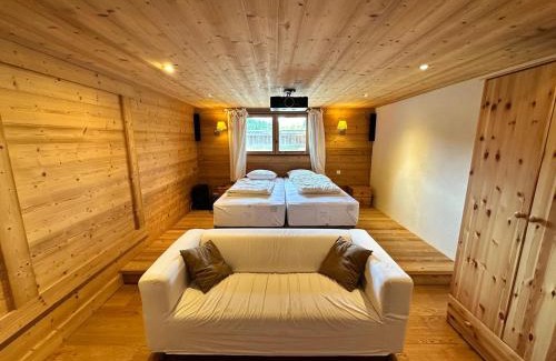 Correncon-en-Vercors Ski Chalet | Chalet familial 10 pers, sauna, terrasse – Corrençon en Vercors - FR-1-515-215