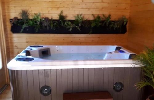 Mios Boat Rental | Chalet flottant sur lac et spa