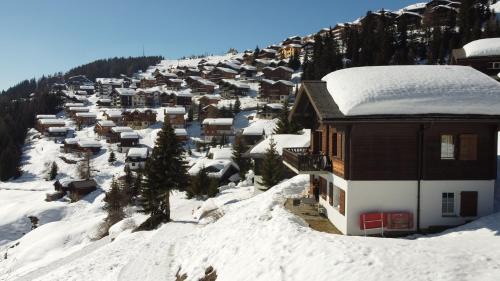 Bettmeralp Apartment | Chalet Foresta