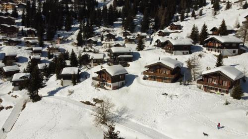 Bettmeralp Apartment | Chalet Foresta