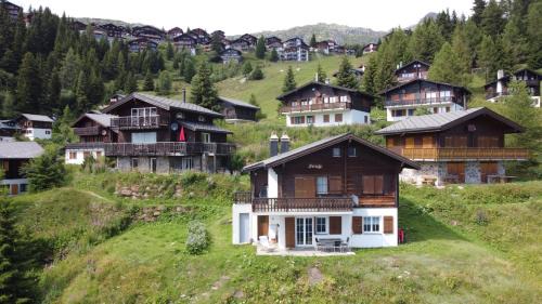 Bettmeralp Apartment | Chalet Foresta