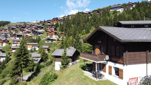 Bettmeralp Apartment | Chalet Foresta