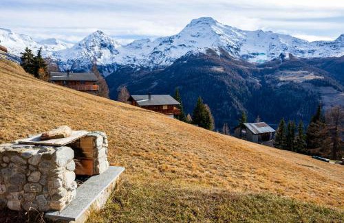 Rosswald Apartment | Chalet Gerbera