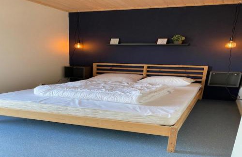 De Veenhoop Ski Chalet | Chalet in Friesland near Alde Feanen Park