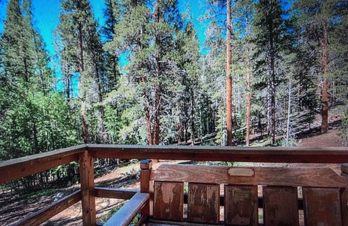 Twin Lakes Cabin | Chalet in the Woods on 30+ Acres!