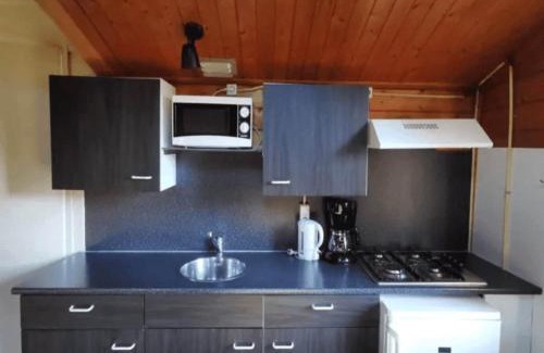 Langelo Ski Chalet | Chalet in Veluwe near Hoge Veluwe Park