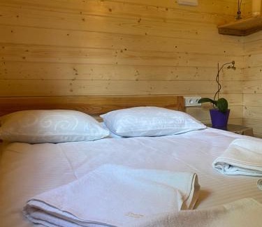 Palyanytsya House | Chalet Ivanna