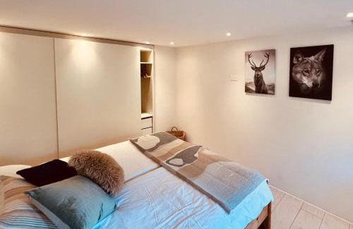 Grindelwald Apartment | Chalet JOLUKSI - with spa tub