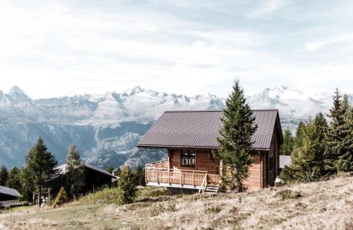 Rosswald Ski Chalet | Chalet Kristall
