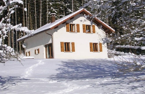 Ban-sur-Meurthe-Clefcy Ski Chalet | Chalet L'épilobe with sauna, large natural area