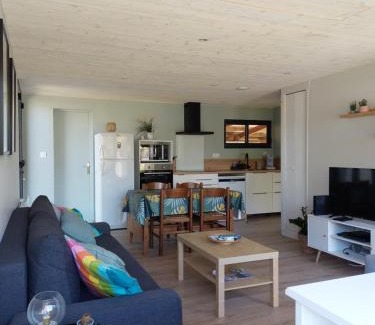 Labenne-Ocean House | chalet la rose des sables