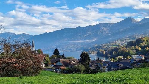 Faulensee Apartment | Chalet Lakeview