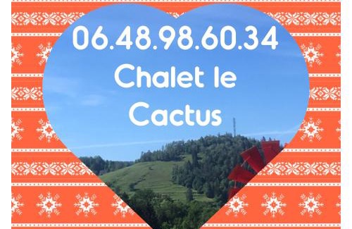 Le Menil Ski Chalet | Chalet Le Cactus avec sauna privatif